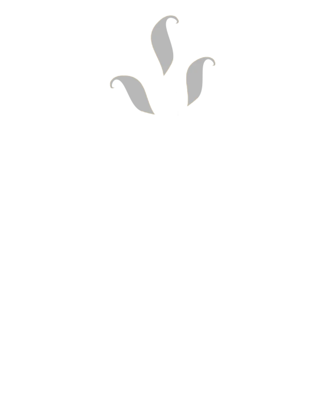 Cd semijoias